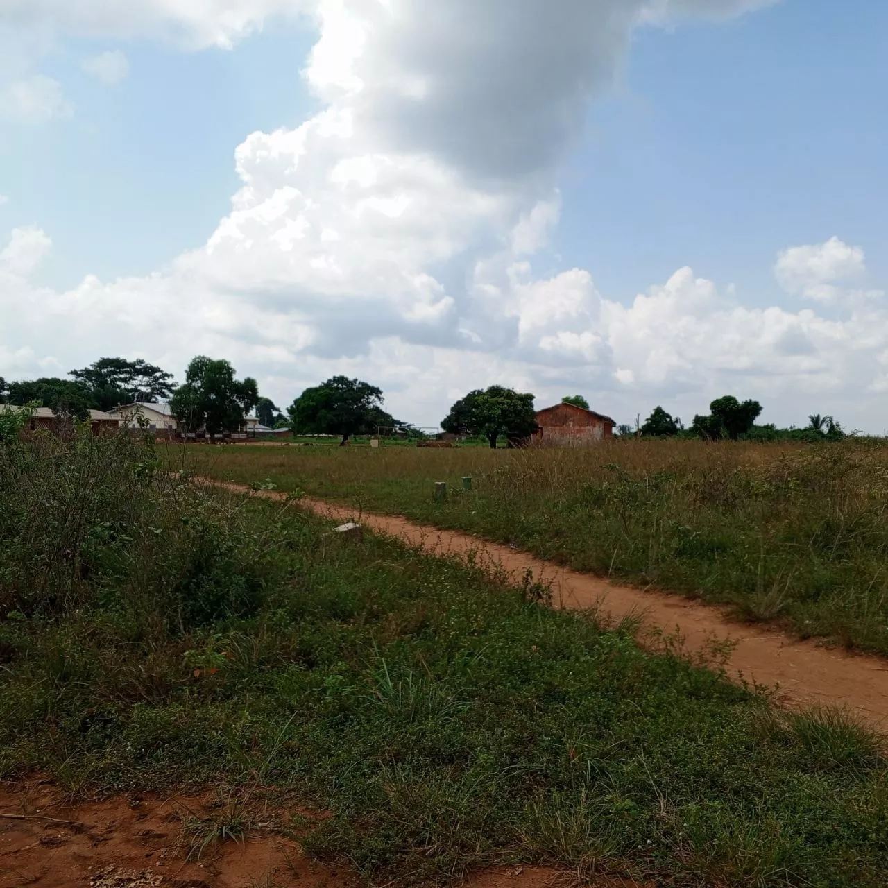 Au Bénin Opportunités immobilières à Tori centre-a à 1500000 - Petites annonces gratuites - Achat et vente à Tori-Bossito, Bénin