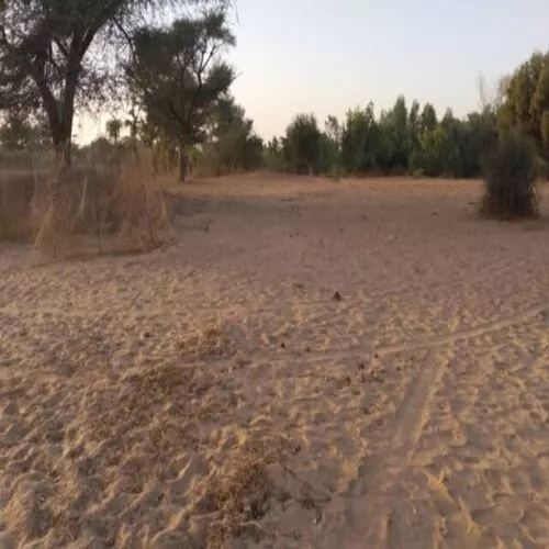 Terrain de 7 621 m² à Tassette à 4200000 - Petites annonces gratuites - Achat et vente à Thiès, Sénégal