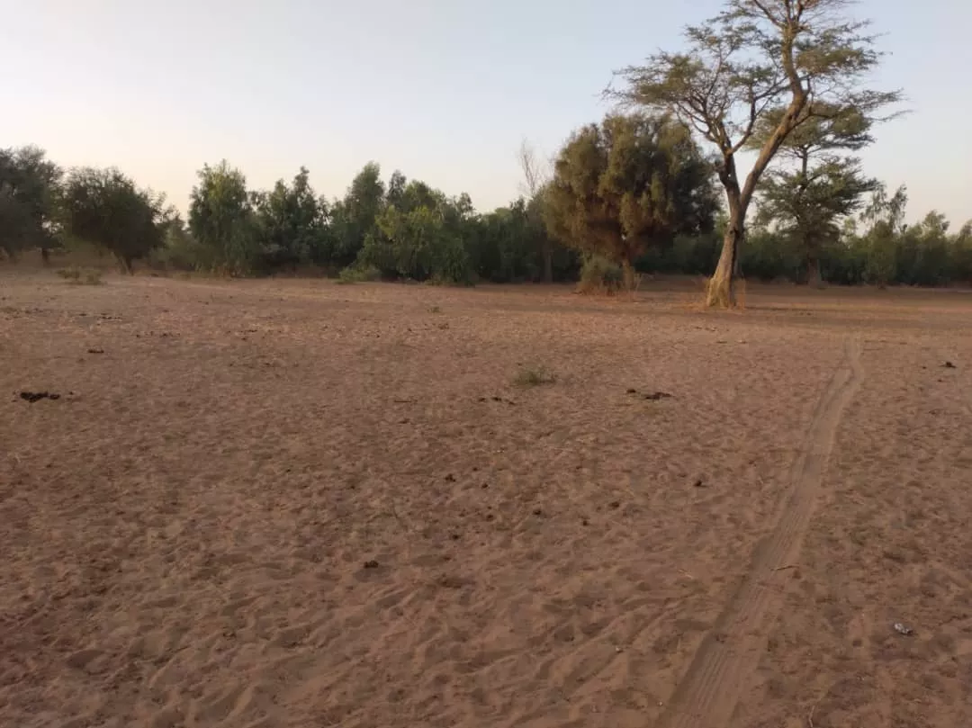 Terrain de 7 621 m² à Tassette à 4200000 - Petites annonces gratuites - Achat et vente à Thiès, Sénégal