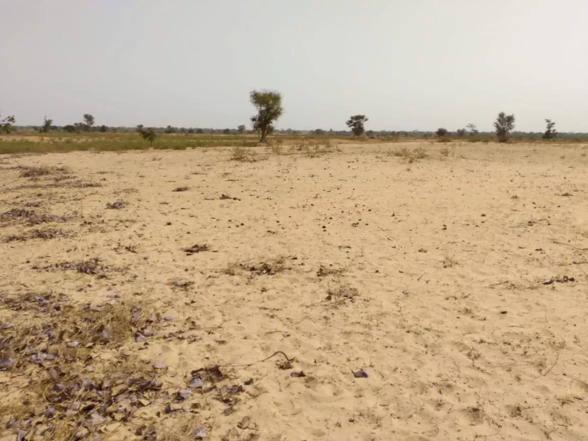 Terrain de 1,46 hectare à Tataguine à 7300000 - Petites annonces gratuites - Achat et vente à Fatick, Sénégal