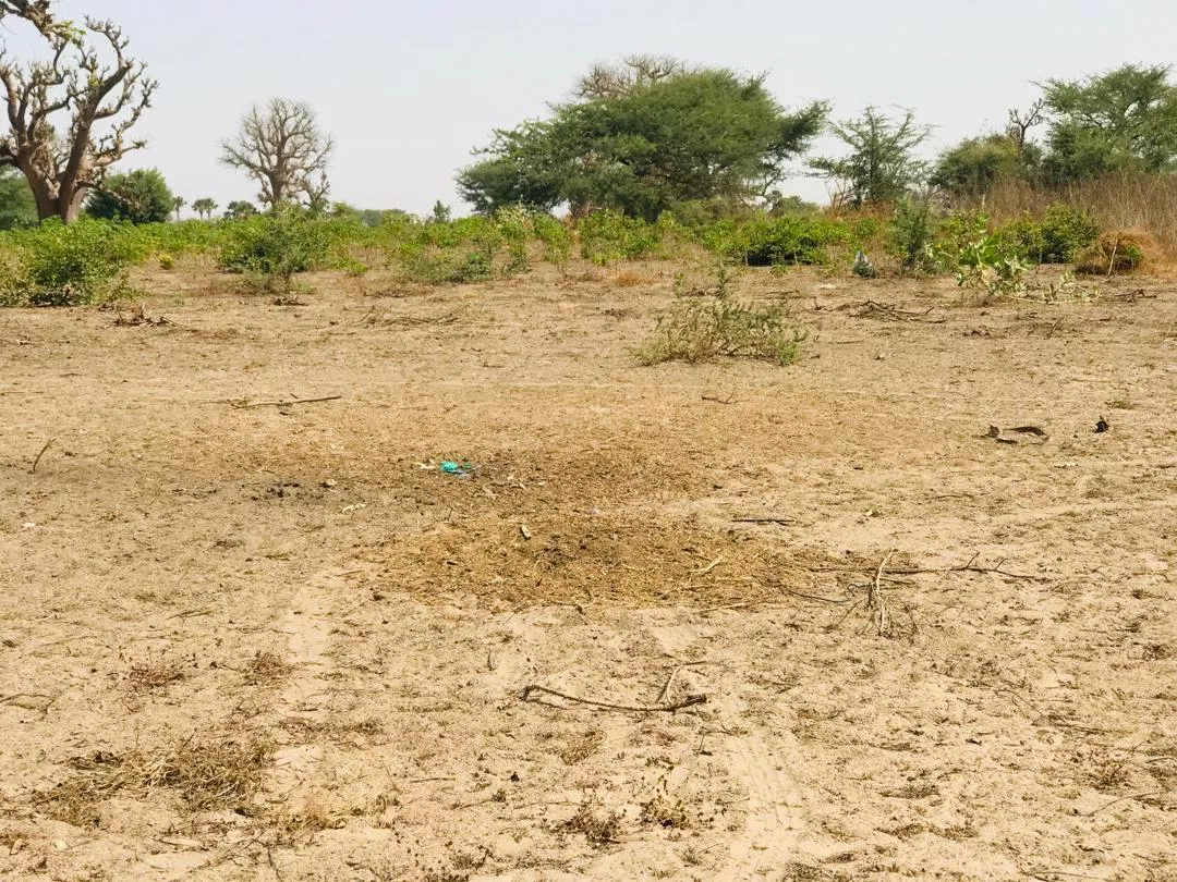 Terrain de 4794 m² à Cherif Lô à 6200000 - Petites annonces gratuites - Achat et vente à Thiès, Sénégal