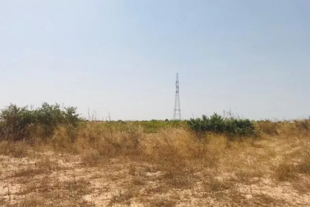 Terrain de 1,62 hectare à Chérif Lô à 8700000 - Petites annonces gratuites - Achat et vente à Thiès, Sénégal