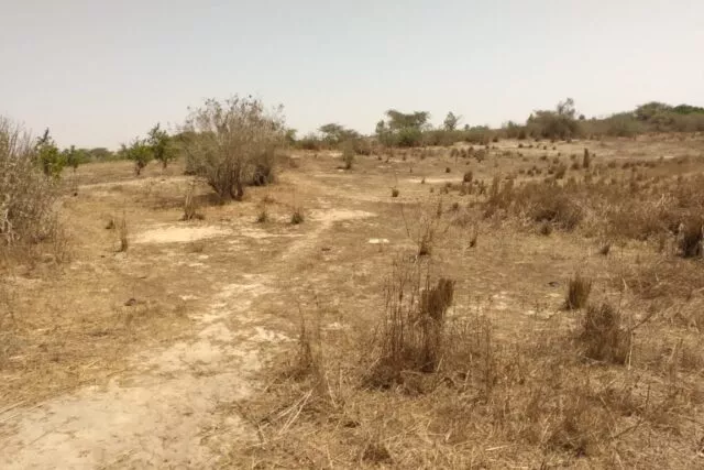 Terrain de 9889 m² vers Darou Khoudoss à 9889000 - Petites annonces gratuites - Achat et vente à Thiès, Sénégal