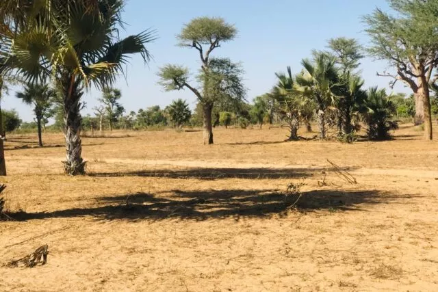 Terrain de 1,29 hectare vers Notto Diobass à 7800000 - Petites annonces gratuites - Achat et vente à Thiès, Sénégal