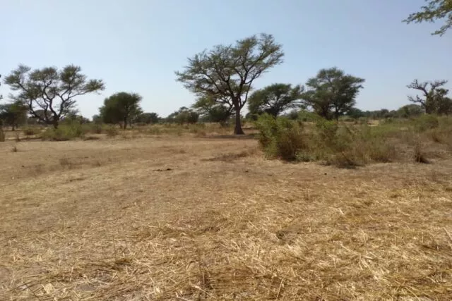 Terrain de 1,24 hectare vers Notto Diobass à 5700000 - Petites annonces gratuites - Achat et vente à Thiès, Sénégal
