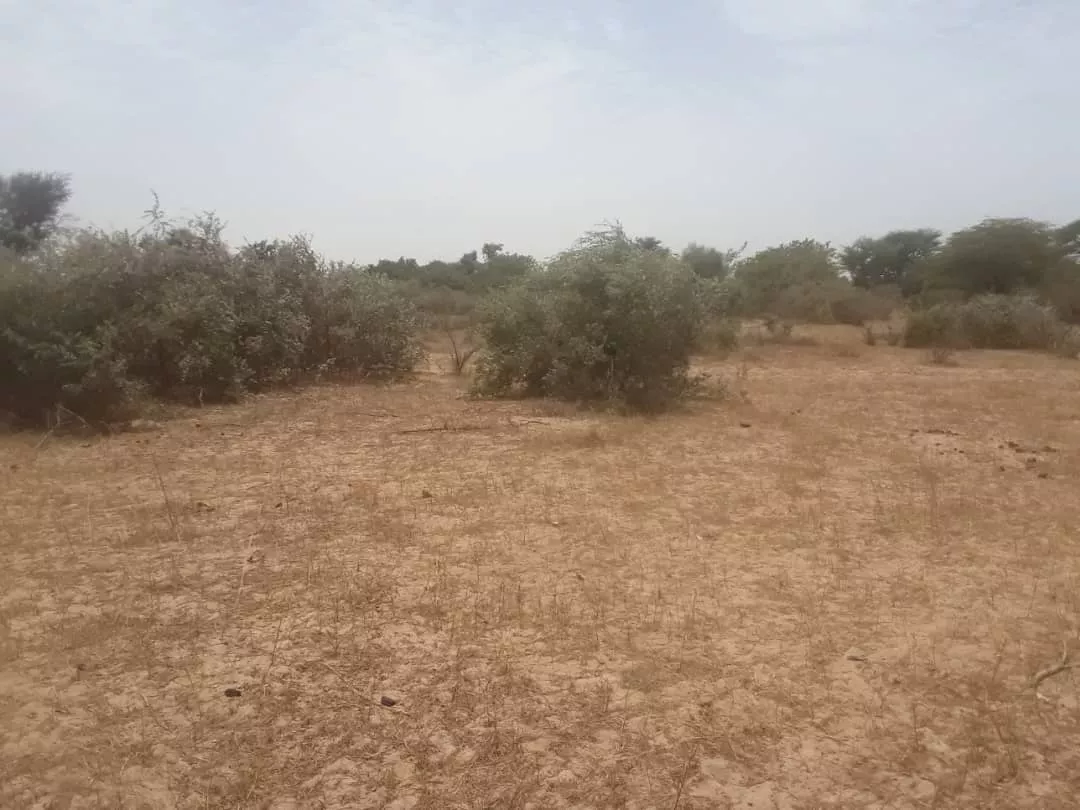 Terrain de 1,03 hectare vers Tassette à 5820000 - Petites annonces gratuites - Achat et vente à Thiès, Sénégal
