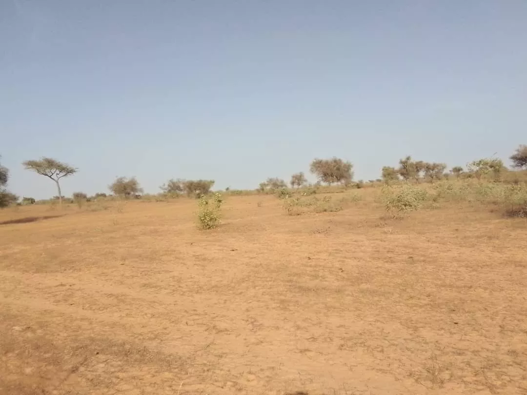 Terrain de 3 hectares vers Thiénaba à 14500000 - Petites annonces gratuites - Achat et vente à Thiès, Sénégal