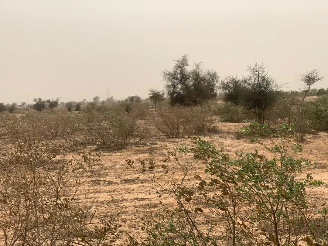 Terrain de 1,49 hectare à Kébémer à 5500000 - Petites annonces gratuites - Achat et vente à Louga, Sénégal