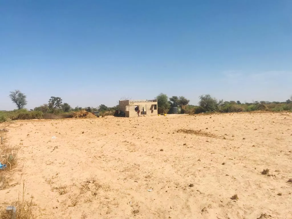 Verger Agricole de 8 449 m² à Fissel à 9500000 - Petites annonces gratuites - Achat et vente à Thiès, Sénégal