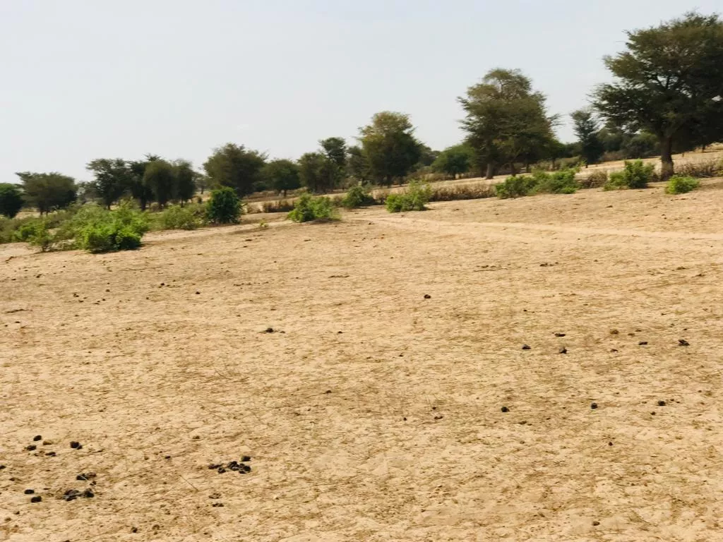 Terrain de 1,17 hectare à Tassette à 5400000 - Petites annonces gratuites - Achat et vente à Thiès, Sénégal