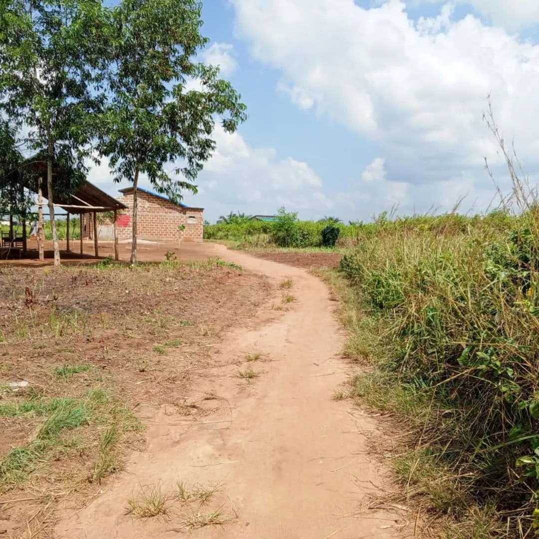 Des parcelles avec Titre Foncier sécurisé à 1600000 - Petites annonces gratuites - Achat et vente à Tori-Bossito, Bénin