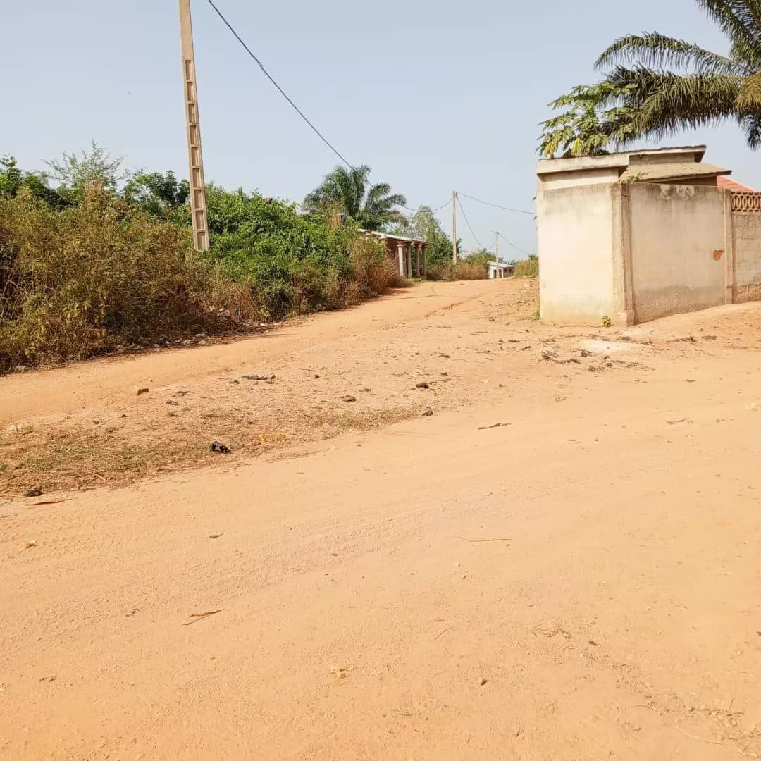 Des parcelles avec Titre Foncier sécurisé à Zinvié à 2100000 - Petites annonces gratuites - Achat et vente à Abomey-Calavi, Bénin