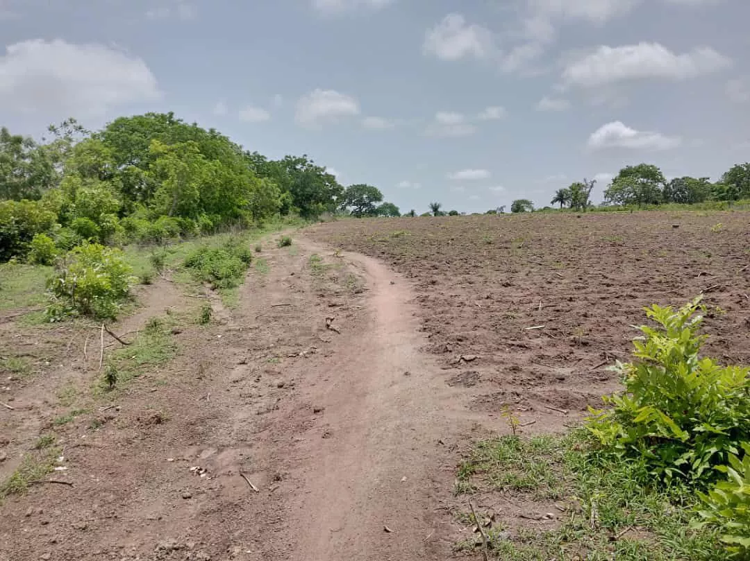 Des Hectares avec ADC sécurisé à DJIDJA-SETO BENIN à 850000 - Petites annonces gratuites - Achat et vente à Djidja, Bénin