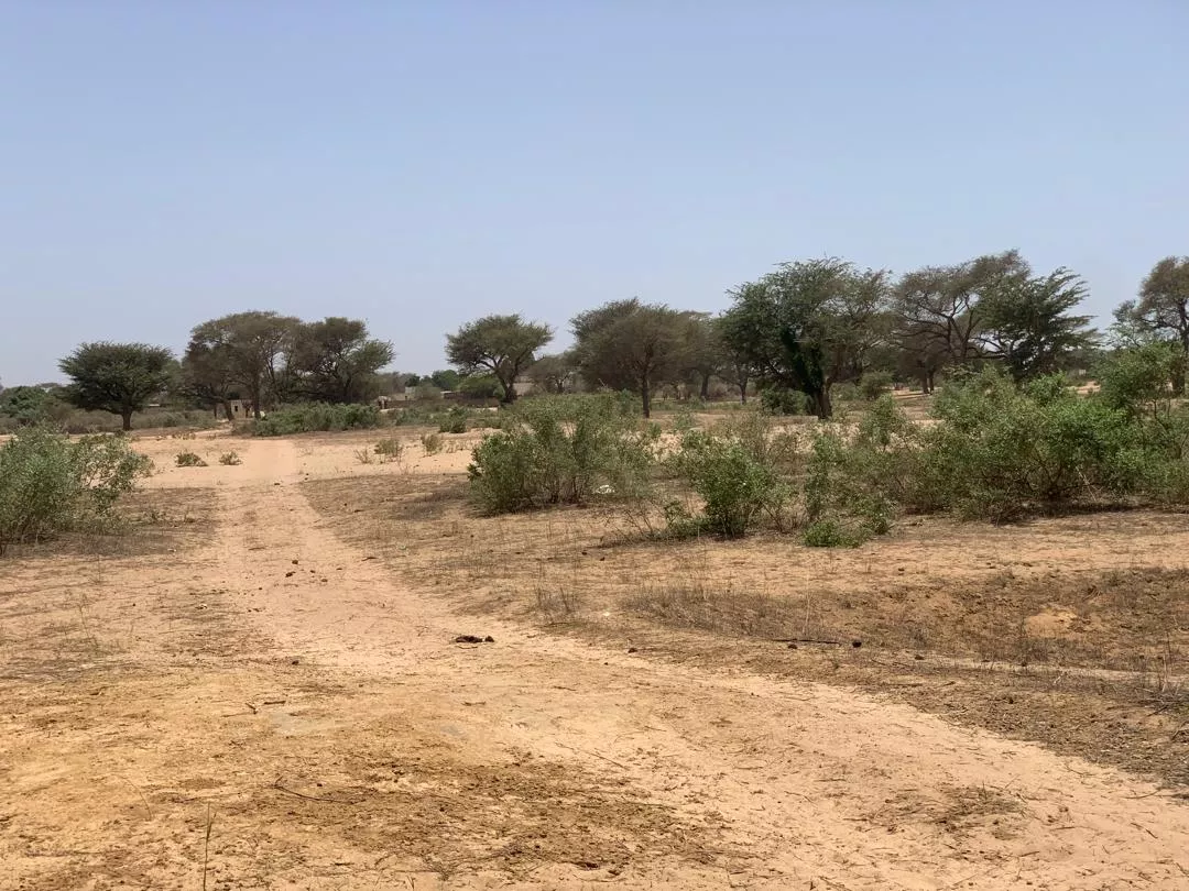 Terrain de 7842 m² vers Notto Diobass à 4975000 - Petites annonces gratuites - Achat et vente à Thiès, Sénégal