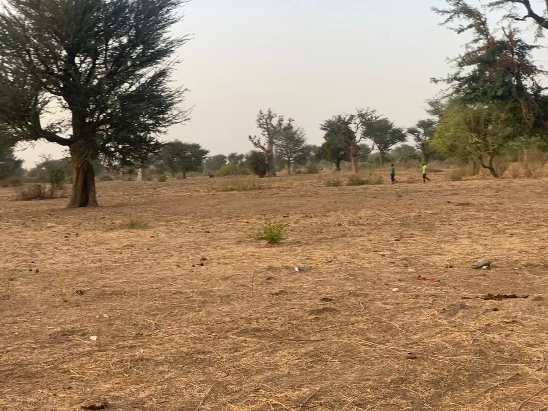 Terrain de 6591 m² vers Tassette à 4650000 - Petites annonces gratuites - Achat et vente à Thiès, Sénégal