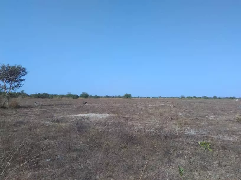 Terrain de 1,43 hectare à Toubacouta à 4420000 - Petites annonces gratuites - Achat et vente à Fatick, Sénégal