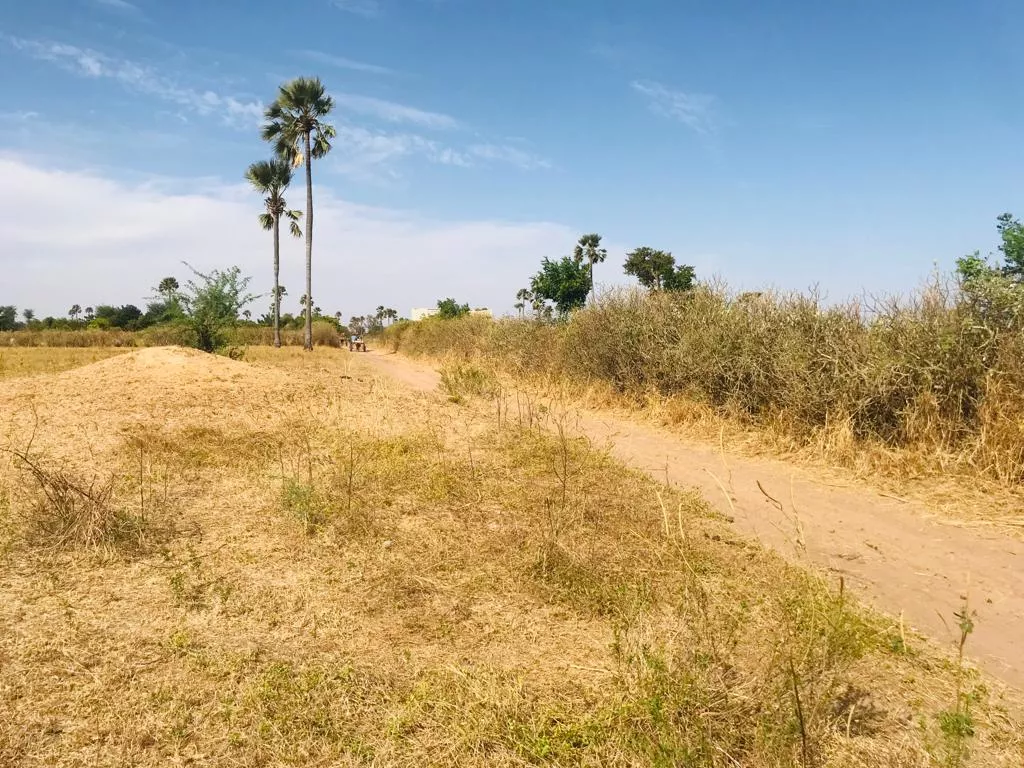 Terrain de 4013 m² à Nguéniène à 3600000 - Petites annonces gratuites - Achat et vente à Thiès, Sénégal