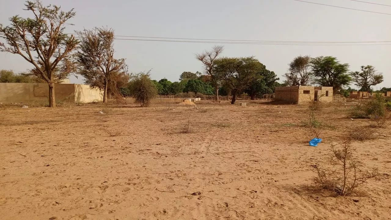 Terrain de 300 mètres carrés à vendre à Malicounda à 6000000 - Petites annonces gratuites - Achat et vente à Mbour, Sénégal